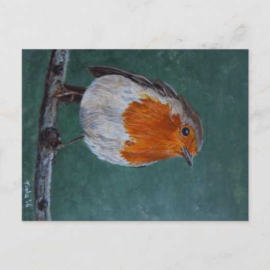 Ansichtkaart Roodborst. Postkarte (Vorderseite)