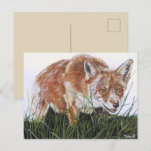 Ansichtkaart Vos Postkarte (Vorne/Hinten)