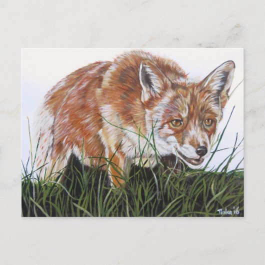 Ansichtkaart Vos Postkarte (Vorderseite)