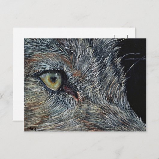 Ansichtkaart Wolf Postkarte (Vorne/Hinten)