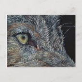 Ansichtkaart Wolf Postkarte (Vorderseite)