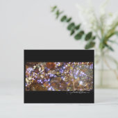 Ansichtskarte für das Wasserlicht Postkarte (Stehend Vorderseite)