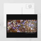 Ansichtskarte für das Wasserlicht Postkarte (Vorne/Hinten)