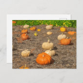 Ansichtskarte zum Pumppatch Postkarte (Vorne/Hinten)