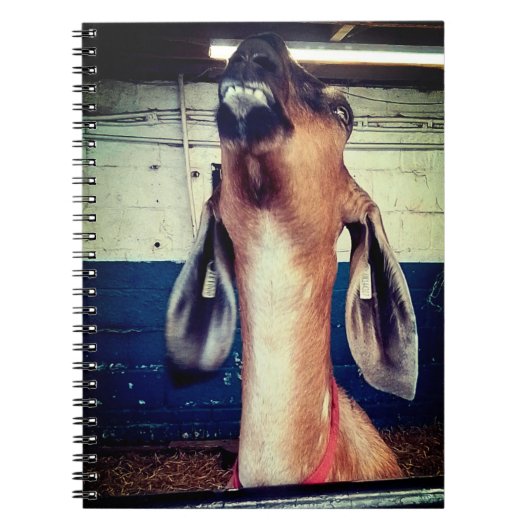 ansprechend notizblock (Vorderseite)