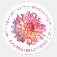 Ansprechpartner für Unternehmen: Pale Pink Giant D