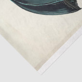 Anspruchsvolle Schwarzkatze mit aquamarinem Schirm Seidenpapier (Ausschnitt)