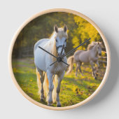 "Anspruchsvoller Charme: Die Uhr des weißen Pferde (Vorderseite)