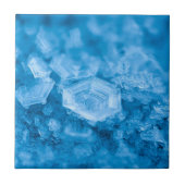 Anspruchsvoller Stil: Elegance Keramik Tile Collec Fliese (Vorderseite)