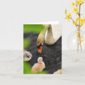 Anstandsone (Mute swan cygnets #5) - Blank Note Ca Karte (Gelbe Blume)