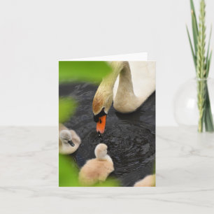 Anstandsone (Mute swan cygnets #5) - Blank Note Ca Karte