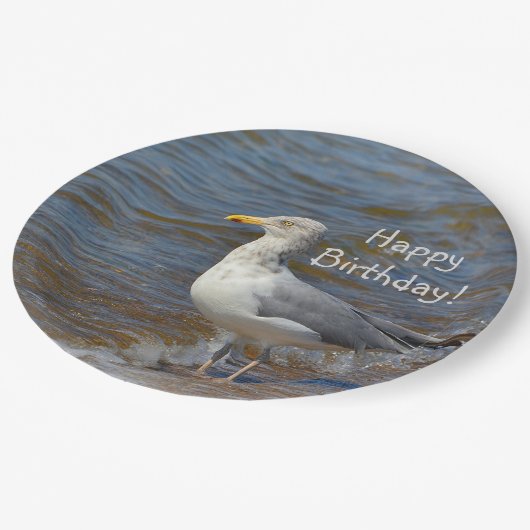 Anstarren der Seemöwe Pappteller (Schrägansicht)