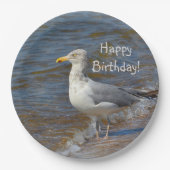 Anstarren der Seemöwe Pappteller (Vorderseite)