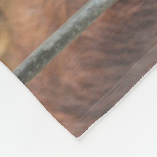 Anstarren der Ziege Fleecedecke (Ecke)