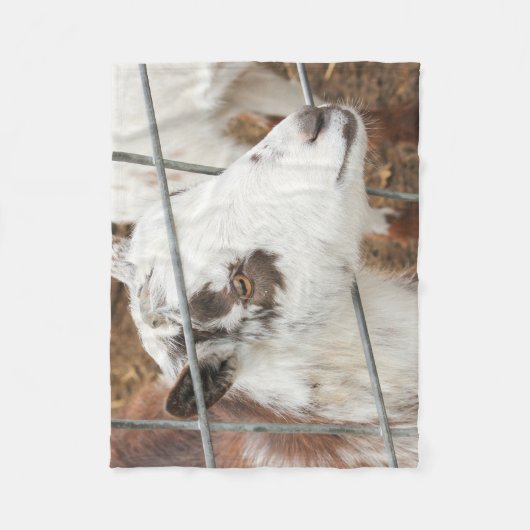 Anstarren der Ziege Fleecedecke (Vorderseite)