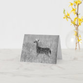 Anstarren des Kitzes Karte (Gelbe Blume)