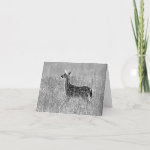 Anstarren des Kitzes Karte