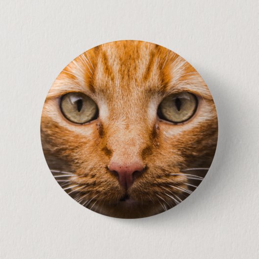 Anstarrenkatzenknöpfe Button (Vorderseite)