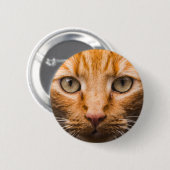 Anstarrenkatzenknöpfe Button (Vorne & Hinten)