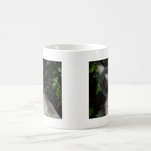 AnstarrenLemur Kaffeetasse (Mittel)