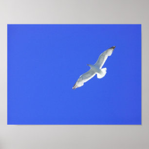 Ansteigen Poster
