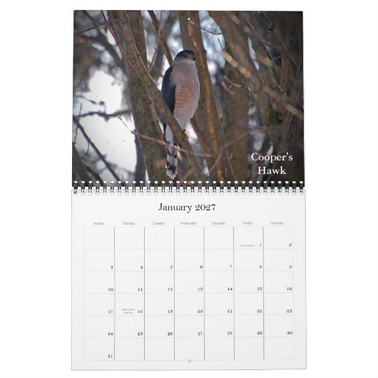 Ansteigen zu den neuen Höhen Kalender (Jan 2027)