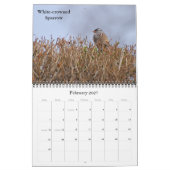 Ansteigen zu den neuen Höhen Kalender (Feb 2027)
