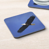 Ansteigender Weißkopfseeadler, Alaska Untersetzer (Linke Seite)