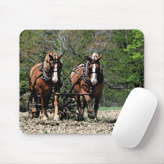 Ansteigendes Mousepad (Mit Mouse)