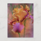 Anstrich Iris Art Postkarte (Vorderseite)