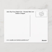 Anstrich John Day Fossil Beds Oregon Postkarte (Rückseite)