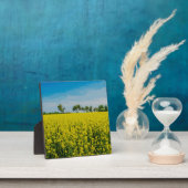 Anstrich von gelben Blumen Fotoplatte (InSitu)