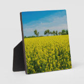 Anstrich von gelben Blumen Fotoplatte (Vorderseite)