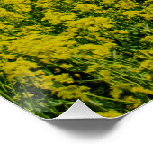 Anstrich von gelben Blumen Poster (Ecke)