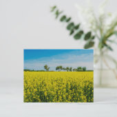 Anstrich von gelben Blumen Postkarte (Stehend Vorderseite)