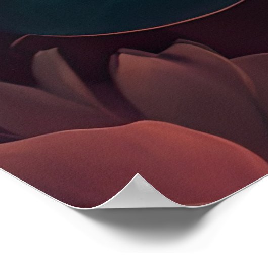 Anstrichene Blume Fett 4:3 Poster (Ecke)