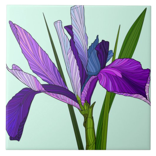 Anstrichene Blume, hübsche lila Iris auf Minze Fliese (Vorderseite)