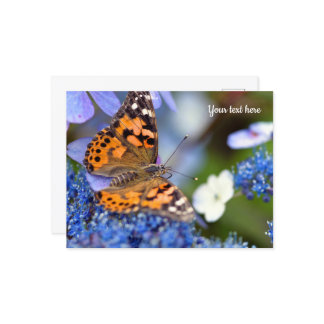 Anstrichene Lady Butterfly Postcard Postkarte