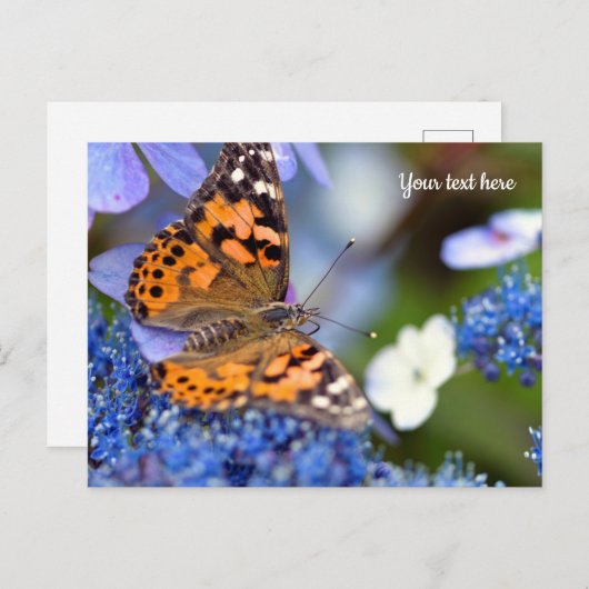 Anstrichene Lady Butterfly Postcard Postkarte (Vorne/Hinten)