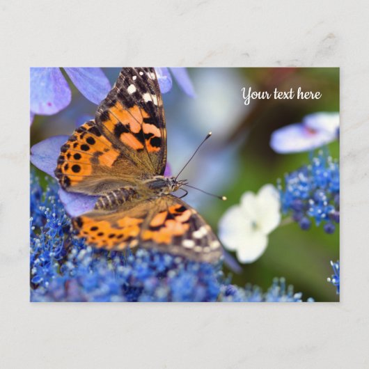Anstrichene Lady Butterfly Postcard Postkarte (Vorderseite)