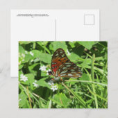 Anstrichene Lady Butterfly Postcard Postkarte (Vorne/Hinten)