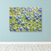 Anstrichene Leinwand: Texas Wildblume Bluebonnet F Leinwanddruck (Insitu (Holzboden))