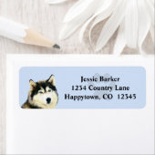 Anstrichene sibirische Husky-Rücksendeadresse (Insitu)