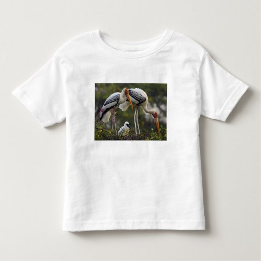 Anstrichene Storche und junge Nest,Keoladeo Kleinkind T-shirt (Vorderseite)