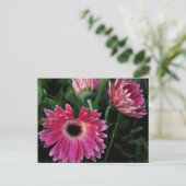 Anstrichene Tage Postkarte (Stehend Vorderseite)