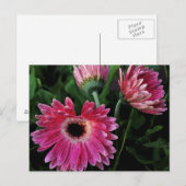 Anstrichene Tage Postkarte (Vorne/Hinten)