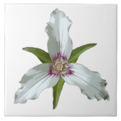 Anstrichene Trillium Spring Wildblume Keramik Tile Fliese (Vorderseite)