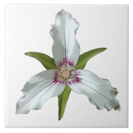 Anstrichene Trillium Spring Wildblume Keramik Tile Fliese