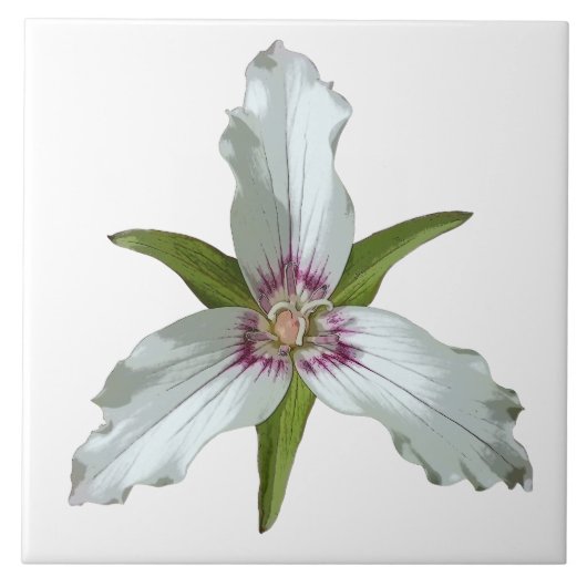 Anstrichene Trillium Spring Wildblume Keramik Tile Fliese (Vorderseite)