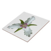 Anstrichene Trillium Spring Wildblume Keramik Tile Fliese (Seite)